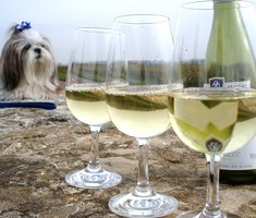 Yoda contemplates Montrachet.JPG